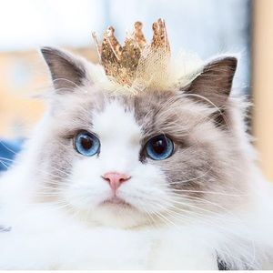 Meet your Posher, Eunicel